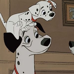 Fotoğraf 101 Dalmaçyalı