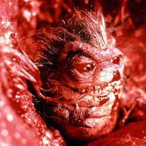 Fotoğraf Rupert Harvey