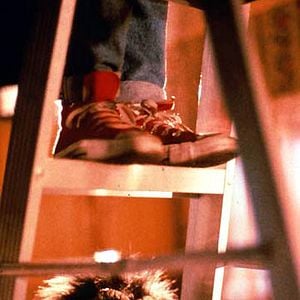 Fotoğraf Mahluklar 3