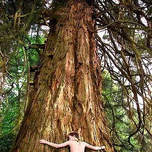 Fotoğraf Freddie Highmore