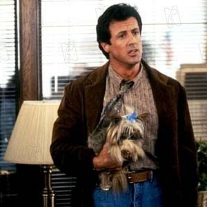 Fotoğraf Dur! Yoksa Annem Ateş Edecek