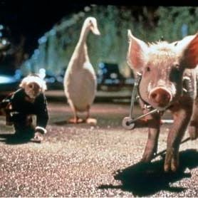 Fotoğraf George Miller