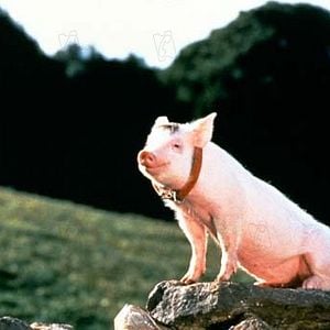 Fotoğraf Chris Noonan