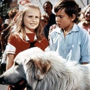 Fotoğraf Sébastien parmi les hommes