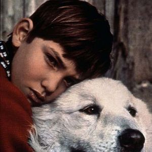 Fotoğraf Belle et Sébastien