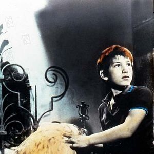 Fotoğraf Belle et Sébastien