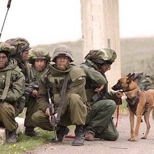 Fotoğraf Joseph Cedar