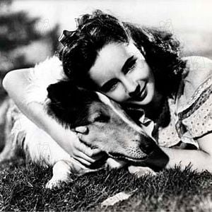 Fotoğraf Fred M. Wilcox