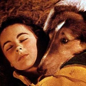 Fotoğraf Fred M. Wilcox