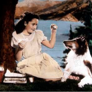 Fotoğraf Lisa Wilcox