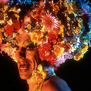 Fotoğraf Çöller Kraliçesi Priscilla