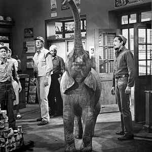 Fotoğraf Howard Hawks