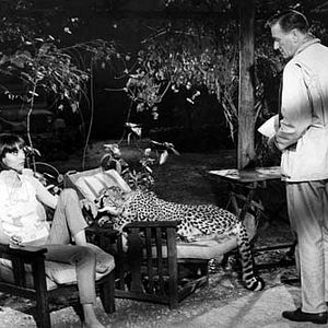 Fotoğraf Howard Hawks