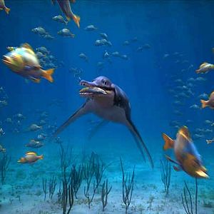 Fotoğraf Sean MacLeod Phillips