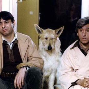 Fotoğraf Georges Lautner