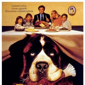 Fotoğraf Afacan Köpek Beethoven