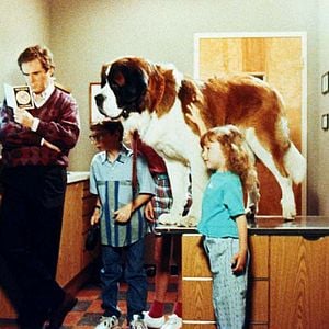 Fotoğraf Afacan Köpek Beethoven