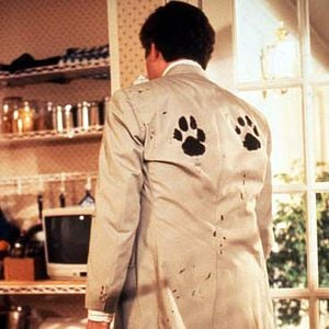 Fotoğraf Afacan Köpek Beethoven