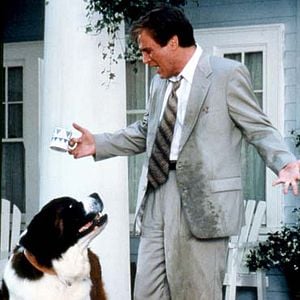 Fotoğraf Afacan Köpek Beethoven