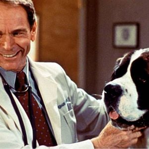 Fotoğraf Afacan Köpek Beethoven