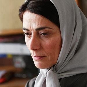 Fotoğraf Limon Ağacı