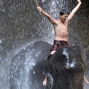 Fotoğraf Olivier Horlait