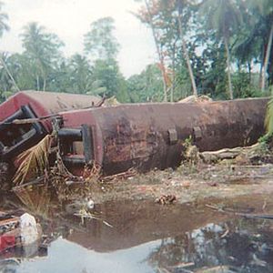 Fotoğraf Alison Thompson