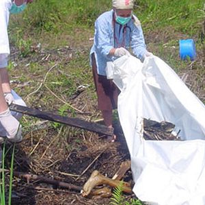 Fotoğraf Alison Thompson