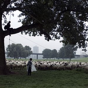 Fotoğraf Palermo’da Yüzleşme