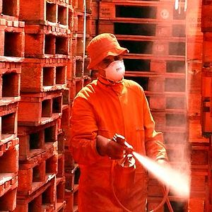 Fotoğraf Dernier maquis