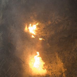 Fotoğraf The Andromeda Strain