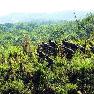 Fotoğraf Che: İkinci Bölüm