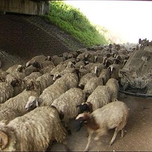 Fotoğraf Esmeralda Calabria