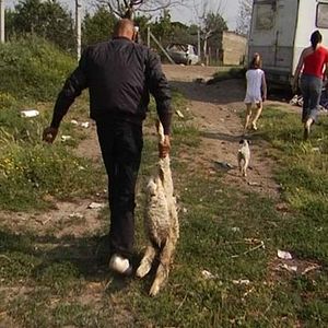 Fotoğraf Esmeralda Calabria