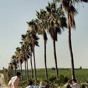 Fotoğraf Reshef Regev Levi