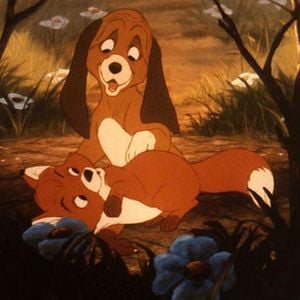 Fotoğraf The Fox and the Hound