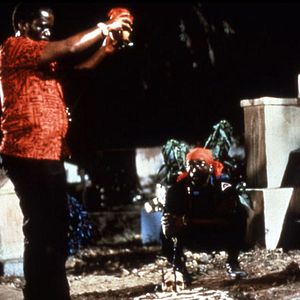 Fotoğraf The Serpent and the Rainbow