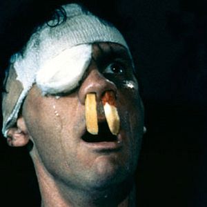 Fotoğraf Wanda Adında Bir Balık