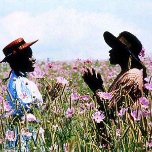 Fotoğraf Mor Yıllar