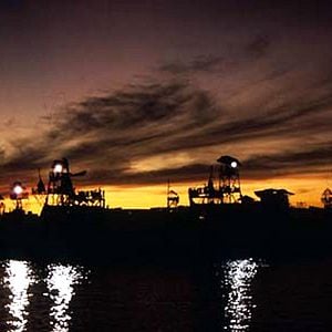 Fotoğraf Kevin Reynolds