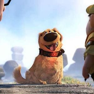 Fotoğraf Yukarı Bak