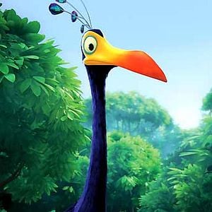 Fotoğraf Yukarı Bak