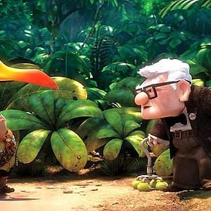 Fotoğraf Yukarı Bak