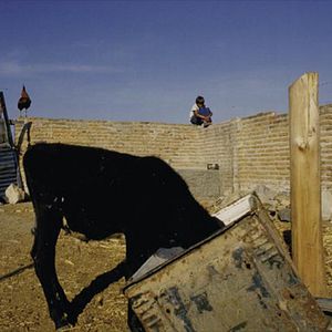 Fotoğraf Jean-Pierre Duret