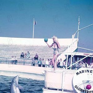 Fotoğraf Frank Tashlin