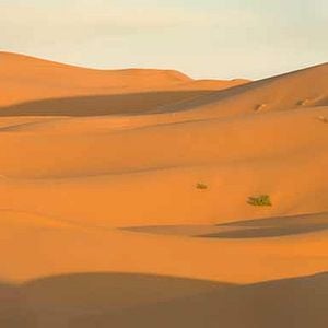 Fotoğraf Pers Prensi: Zamanın Kumları