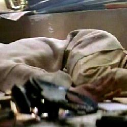 Fotoğraf Sagamore Stévenin