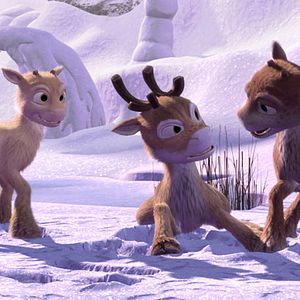 Fotoğraf Kari Juusonen