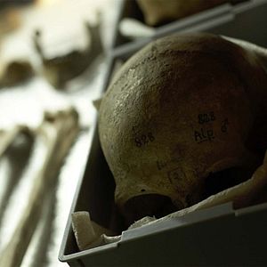 Fotoğraf Dehşetin Soluğu