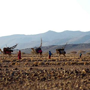 Fotoğraf Sherry Hormann